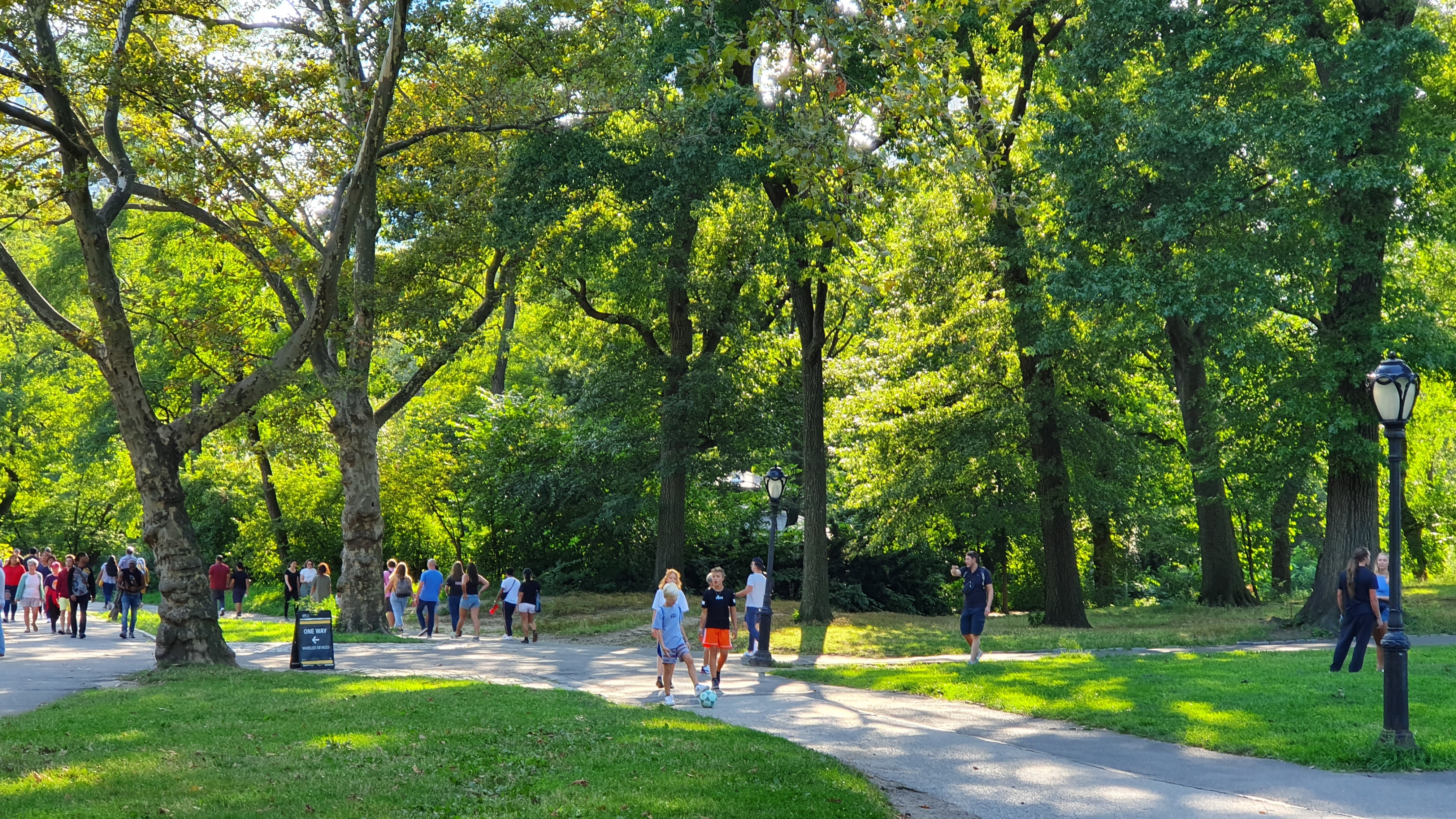 Strolling in Central Park